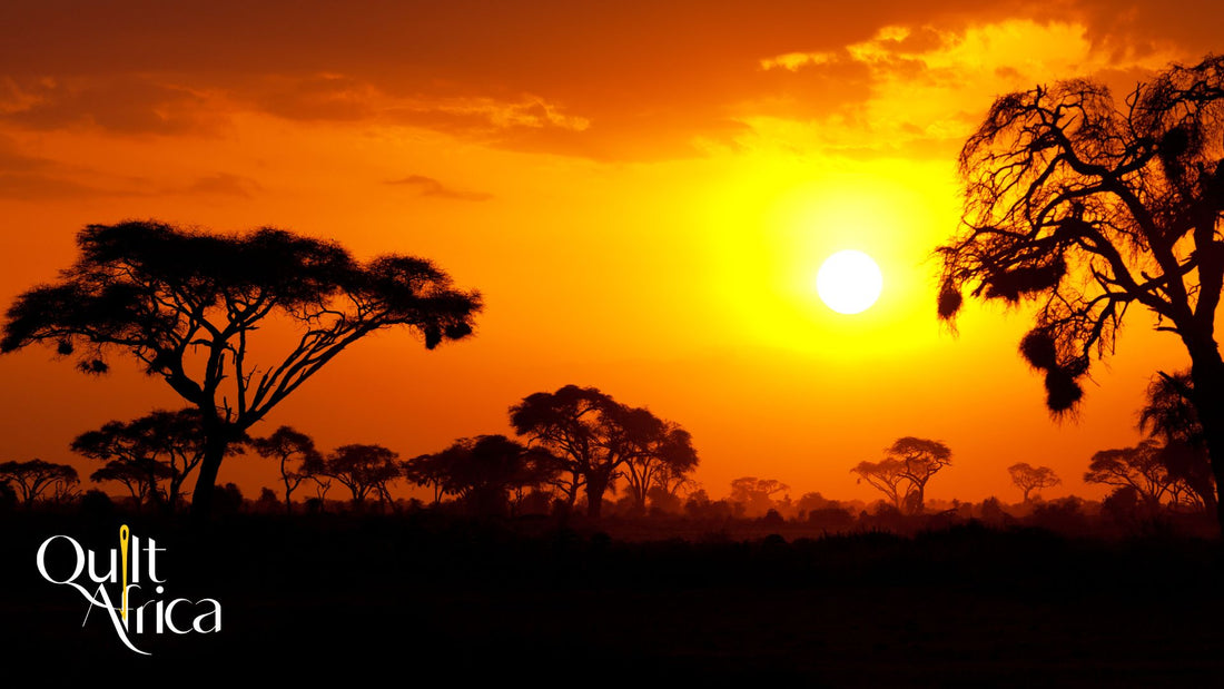 Take a Tour to the African Safari